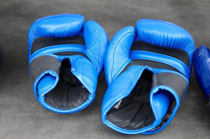 Что нужно знать, выбирая для тайского бокса перчатки