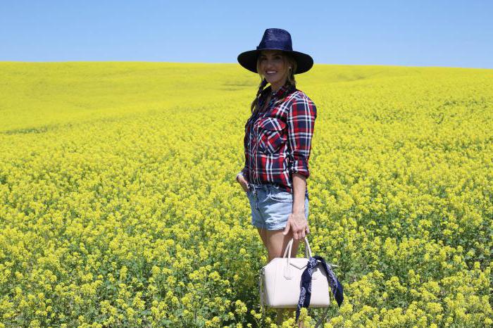 alfalfa yellow photo