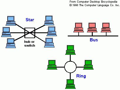 Топология сетей шина принцип работы