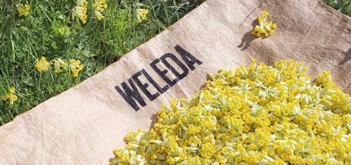 масло для подготовки к родам weleda отзывы