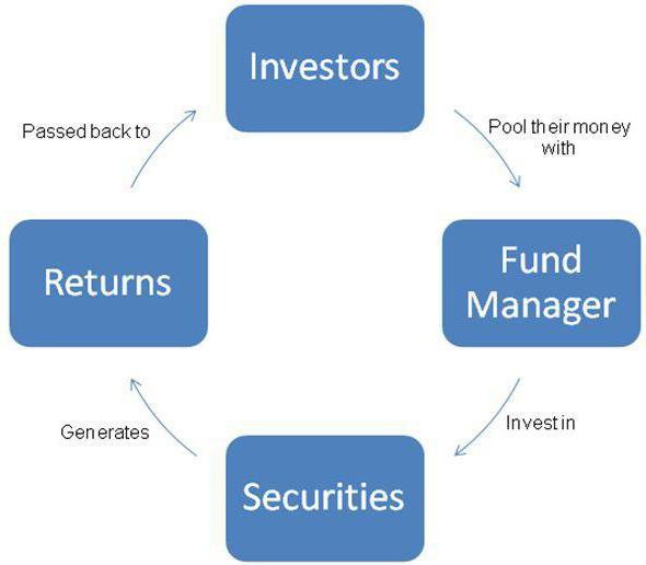 mercury mutual fund russia reviews