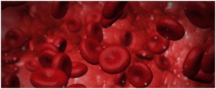 Расшифровка общего анализа крови HCT