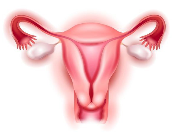 Опущение матки после родов, симптомы и лечение