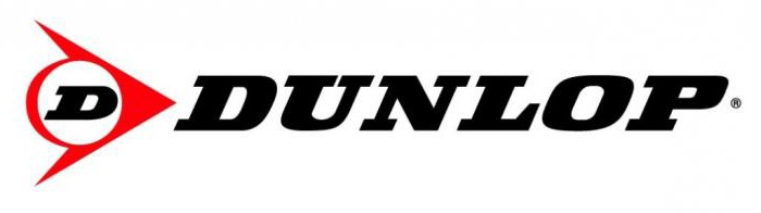 summer tires reviews dunlop