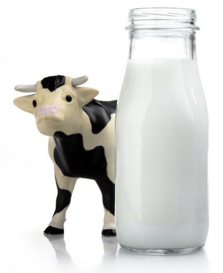 Каким витамином богато молоко thumbnail