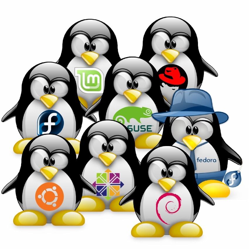 отличия linux mint от ubuntu