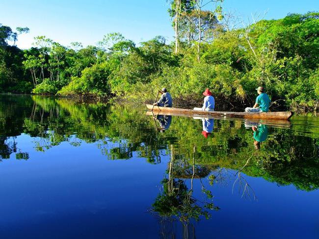 режим и питание реки амазонка