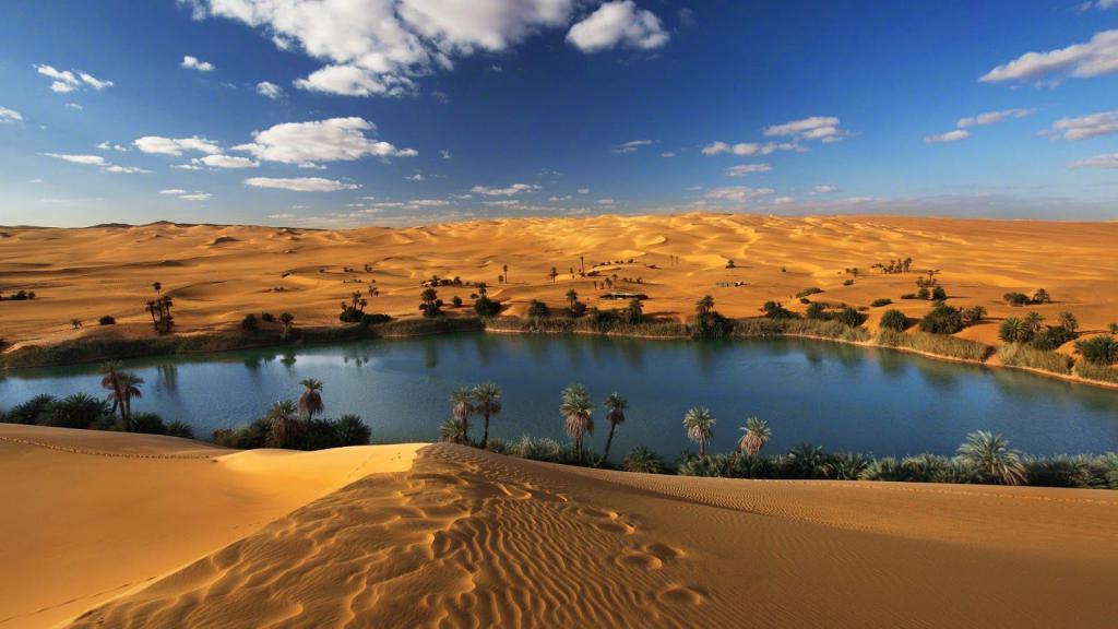 Оазис в пустыне, как правило, это мираж