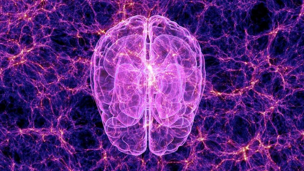Человеческий мозг в фиолетовой цвете