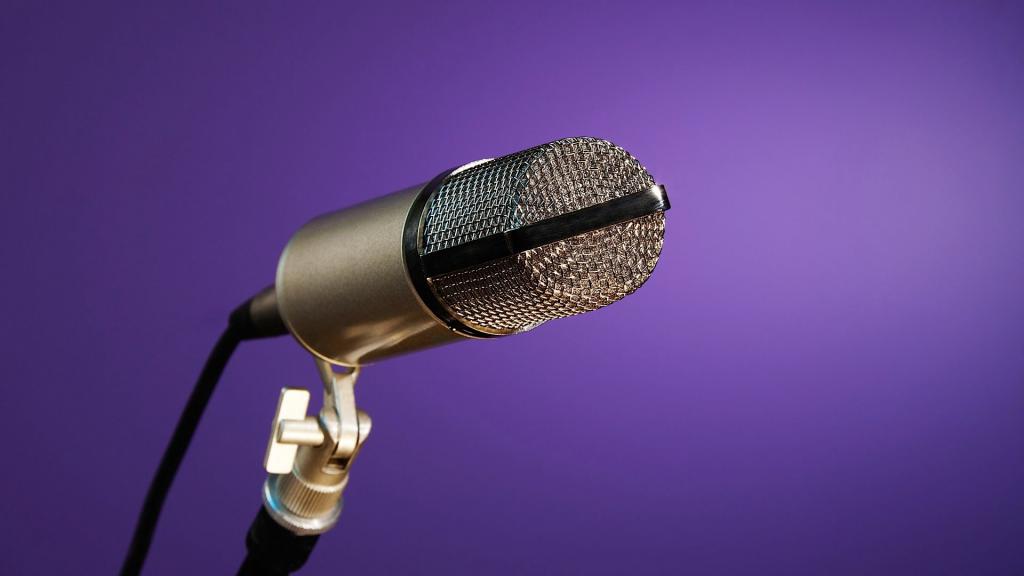 Микрофон - орудие труда поэта при общественных чтениях