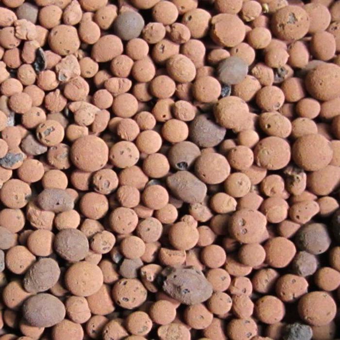 expanded clay production