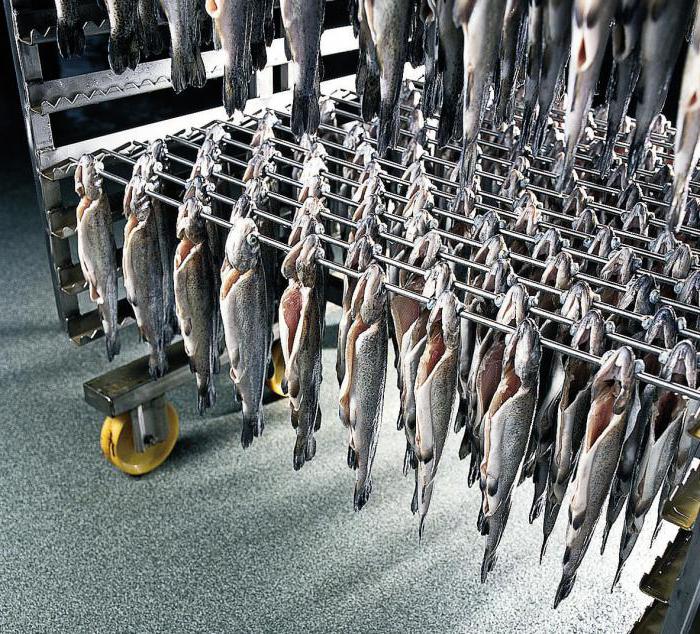мини цех по переработки рыбы