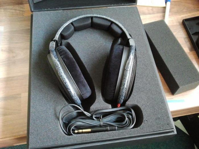 sennheiser hd 600 headphones