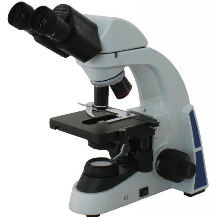как выбрать микроскоп для школьника