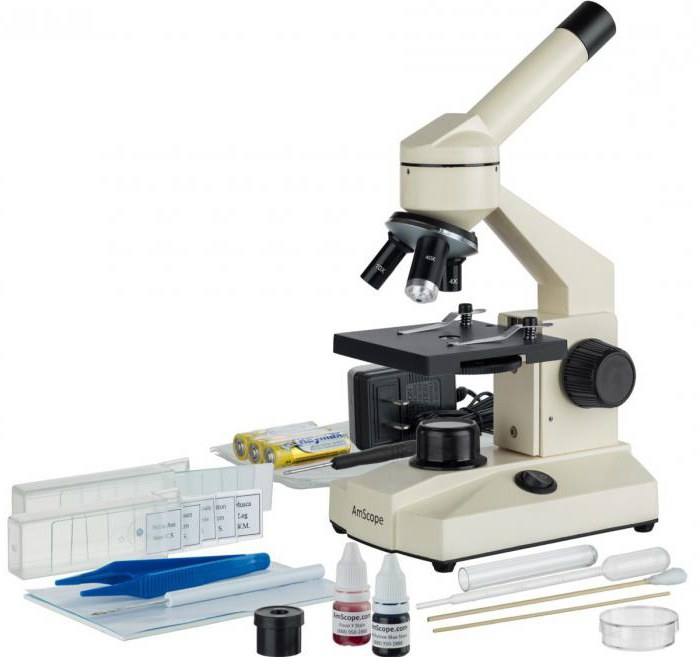 Микроскоп для школьника фото