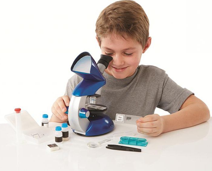 цифровой микроскоп для школьника