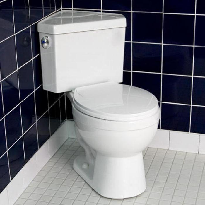 toilet bowl with corner tank photo