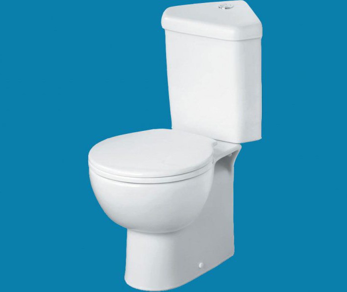 toilet bowl with corner cistern