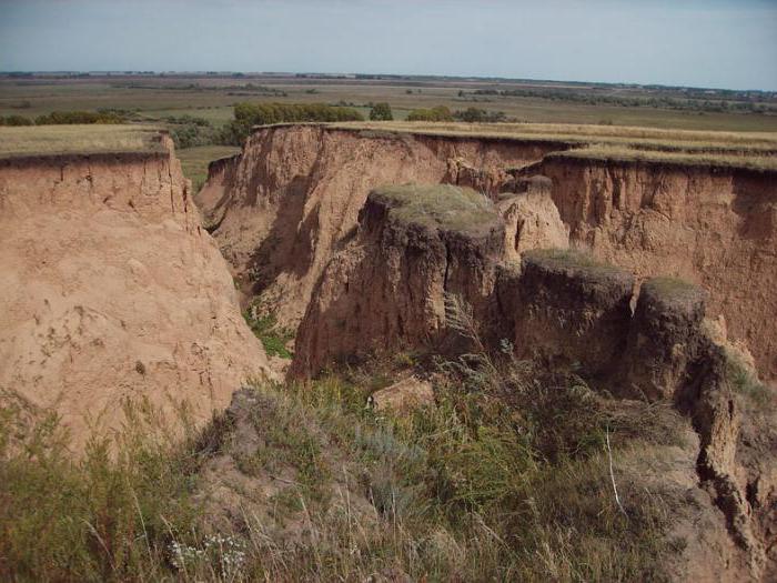 dry steppe soil