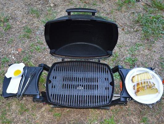 gas grill weber