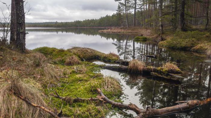 grounds for delineating state ownership of land