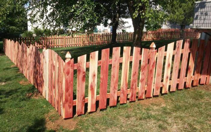 забор из дерева чем покрасить деревянный забор