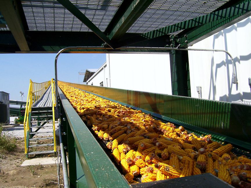 Отправка кукурузы на глубокую переработку