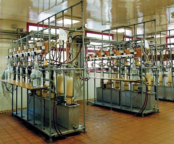 The process of producing citric acid