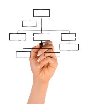 структура системы организации