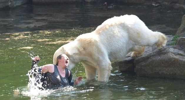 нападение белого медведя
