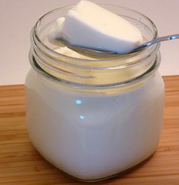 homemade yogurt recipe without sourdough yogurt maker