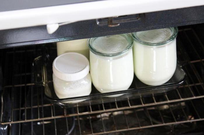 homemade yogurt without yogurt maker recipe with photo