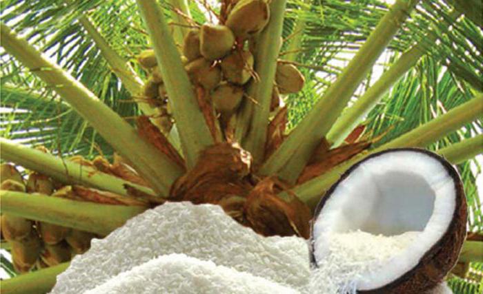 кокосовая стружка польза и вред