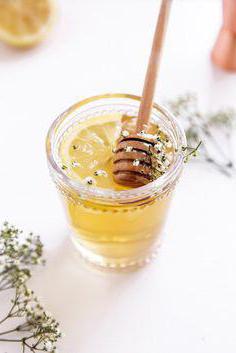 мед из бузины рецепт