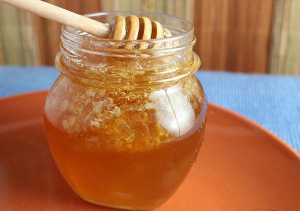 бортевой мед полезные свойства