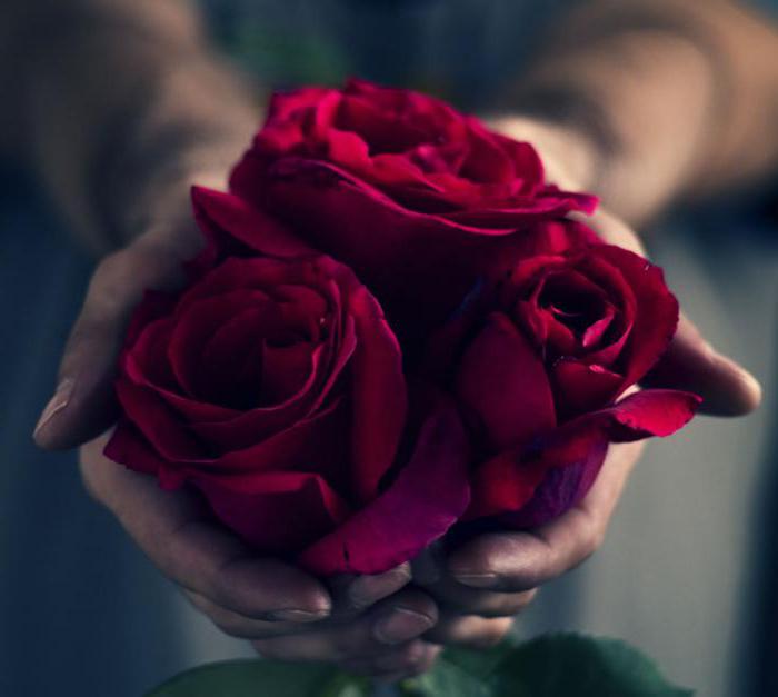 сонник красные розы подарили