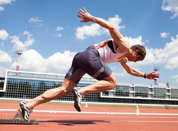 track and field studs photo