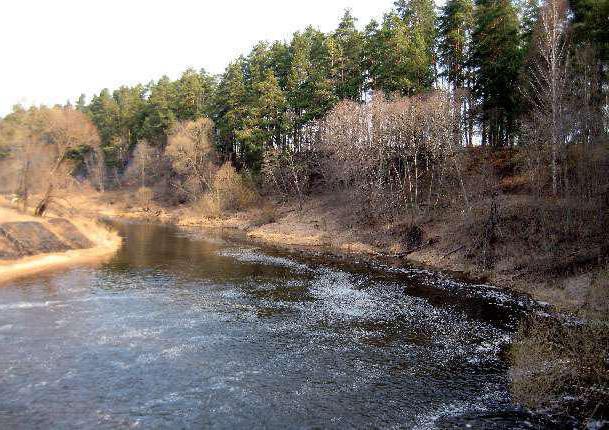 Река Шоша 