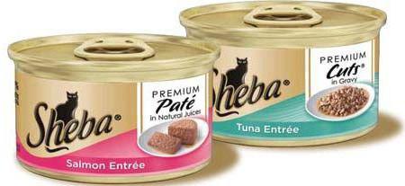 cat feed rating