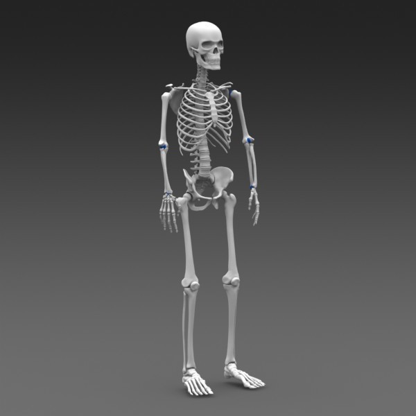 классификация переломов костей