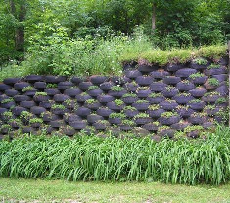 beautiful flowerbeds in the country of stones