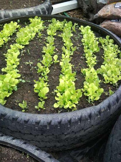 beautiful flower bed with your own hands in the country