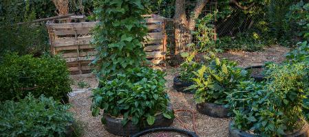 beautiful flower beds with their own hands in the country photo