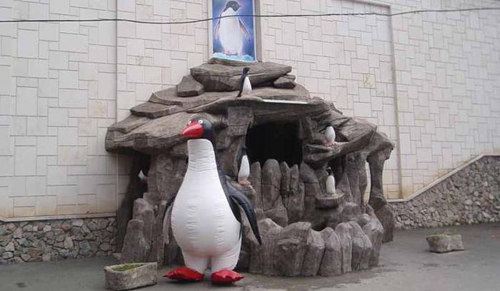 Пингвинарий Лазаревское адрес