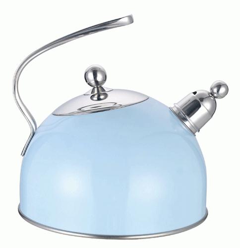 stainless steel kettle