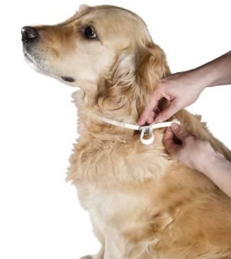 flea and tick collars for dogs