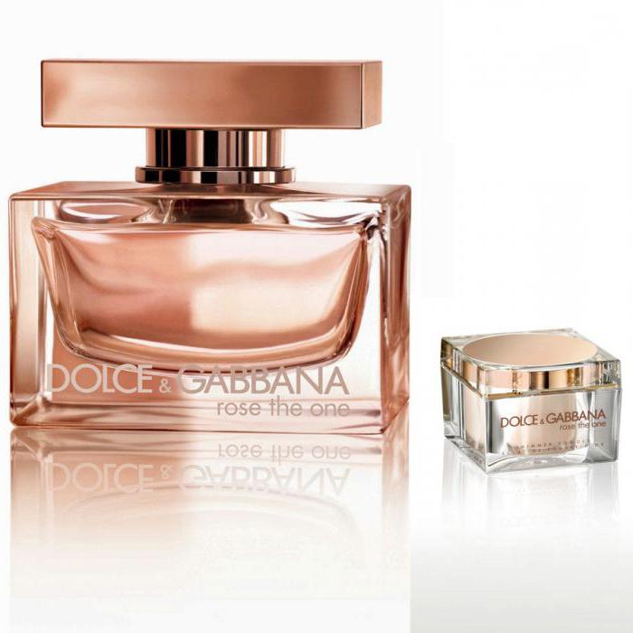 dolce gabbana rose the van photo