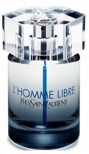 l homme yves saint laurent cologne