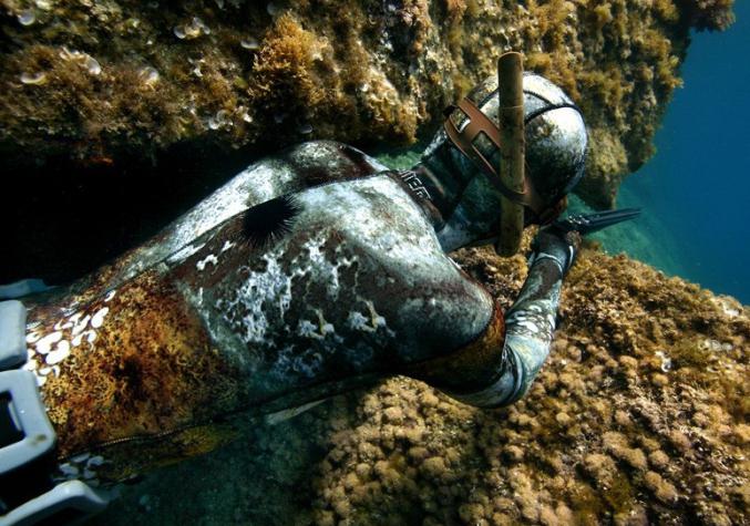 гидрокостюм для подводной охоты как выбрать