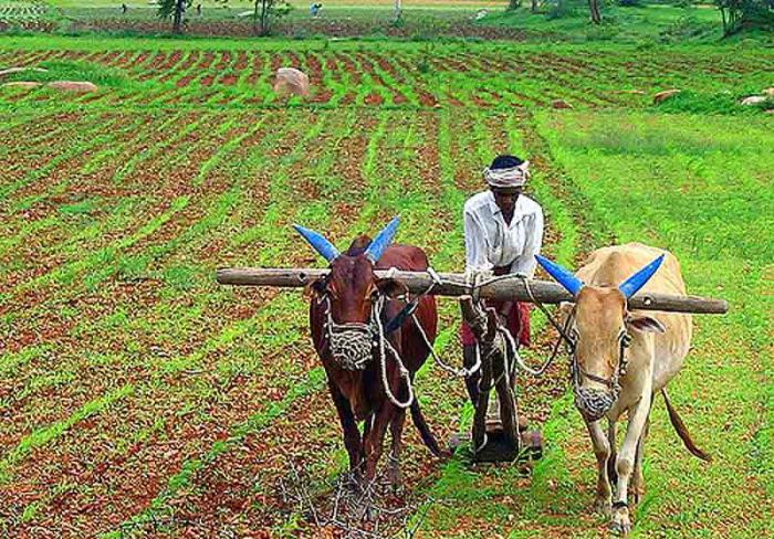 agricultural greetings